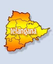 T-DCC chiefs asks Botsa to support Telangana