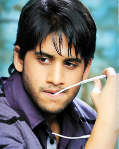 Chaitu Prefers Only Top Heroines!