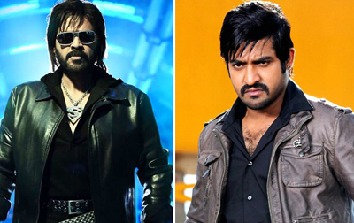 'Baadshah','Shadow''GV' n Bunny; Who's Stylish?