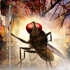 'Eega' Gets A Rare Honour!