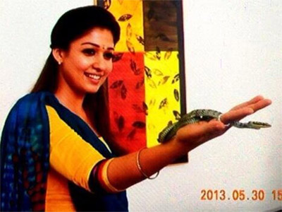 Nayanathara, the Snake Beauty!