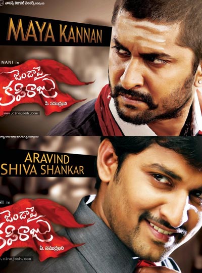 Nani Inherits Pawan Kalyan Style 