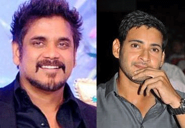 Nag-Mahesh Multi-Starrer Shoot in Hyderabad?