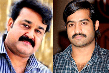 Superstar to Rock in NTR's 'Rabhasa'!