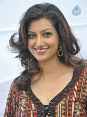 Accident to Hamsa Nandini