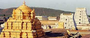 Race Gurram to Become No.1 in Tirupathi City?