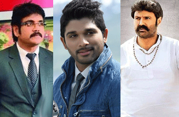 Career Best Collections for Balayya, Nag n Bunny