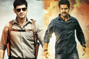 What If 'Rabhasa' Scores Bigger Than 'Aagadu'?