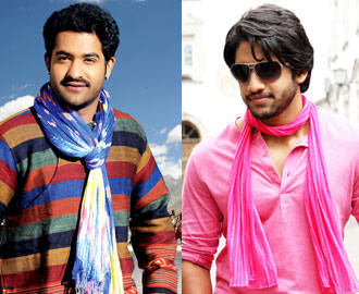 NTR and Chaithu's Multi-Starrer's Director!