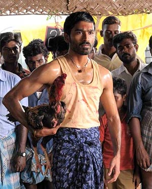 Can Dhanush Go Strong in Telugu?