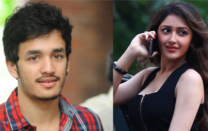 Akhil's Heroine Can't Do Other Movies