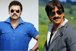 Venkatesh's Next Preference Ravi Teja