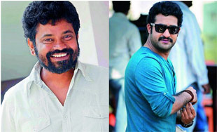 Sukumar's Scouting in UK for NTR