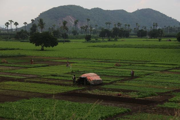 AP Government's Big Blow on Farmers!