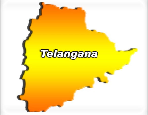 CS reviews preparations for Telangana Formation Day