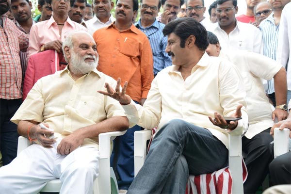 This Can Be Best Decision of Balakrishna