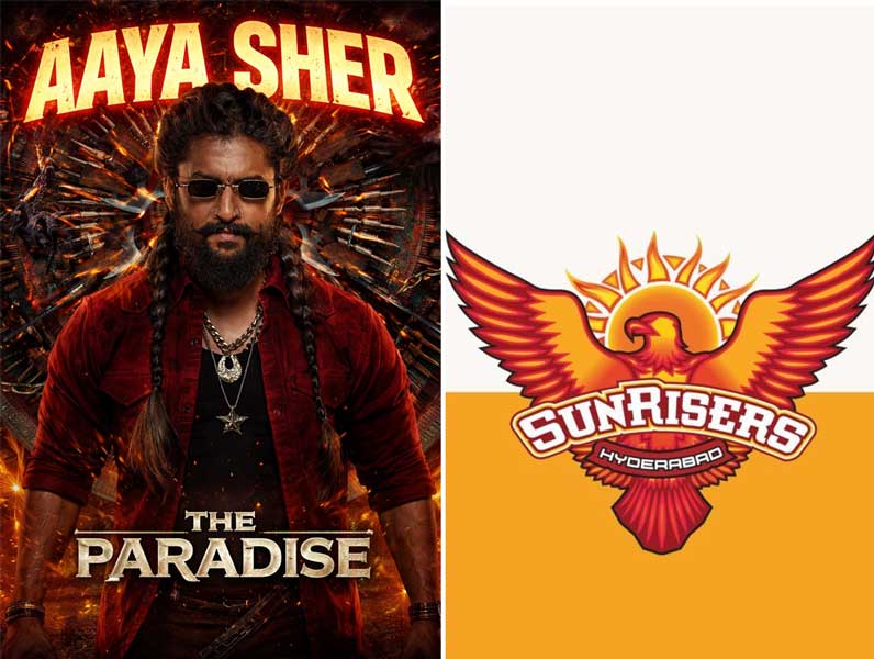Aaya Sher Is SRH Official Stadium Anthem This IPL