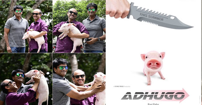 Adhugo Movie Budget