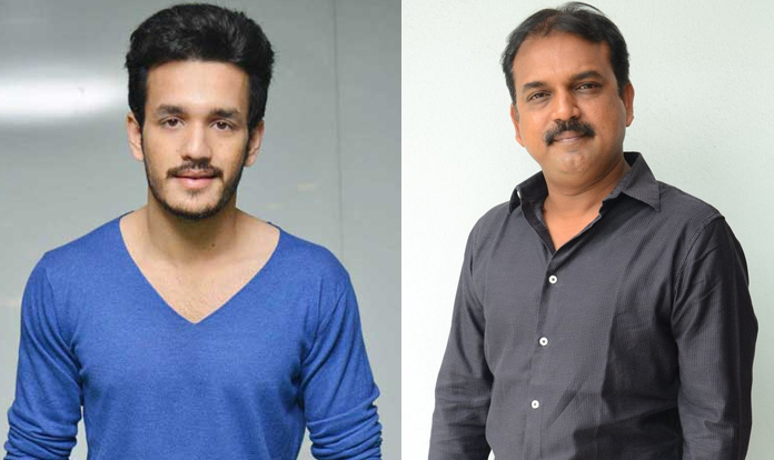 Akhil Or Bunny: Whom He Chooses?