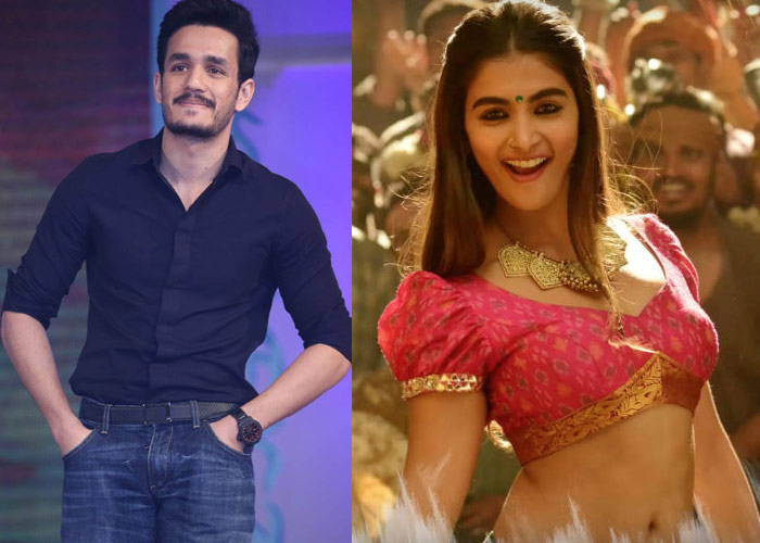 Akhil and Pooja Hegde