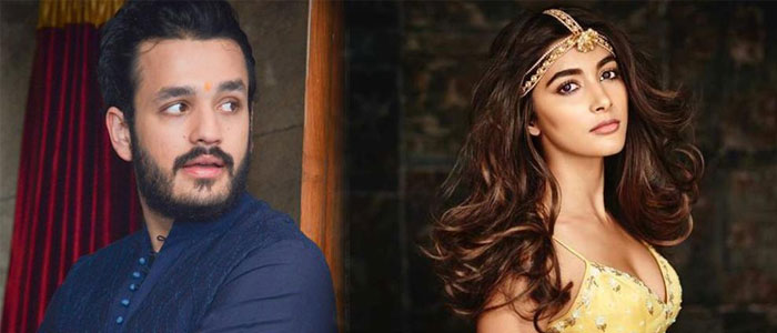 Akhil' Break Due to Pooja Hegde?