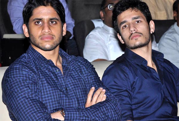 Akhil, Naga Chaitanya - First Movie Flops