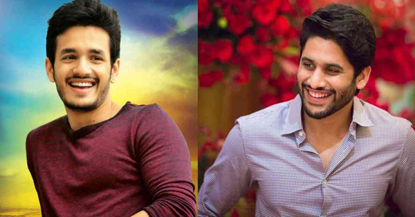 Akhil Vs Naga Chaitanya: Most Eligible Bachelor Vs Lover