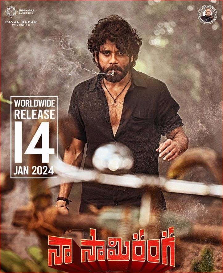 All eyes are on Naa Saami Ranga Sankranti magic