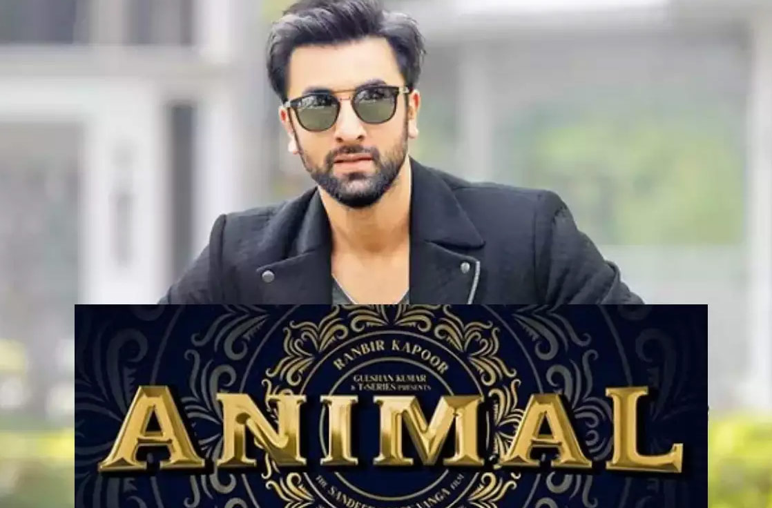 Animal action scenes in full swing