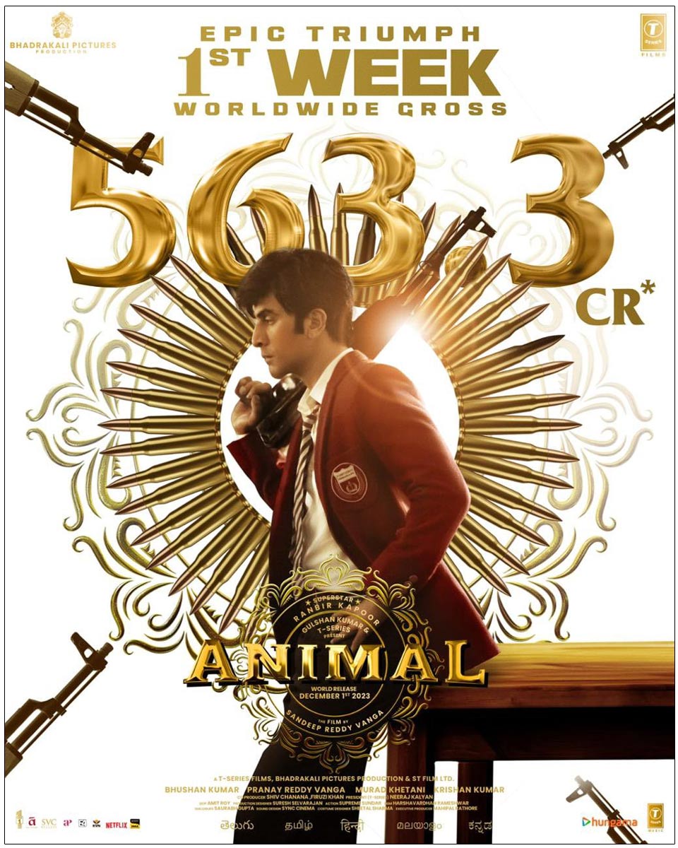 Animal First Week Collections