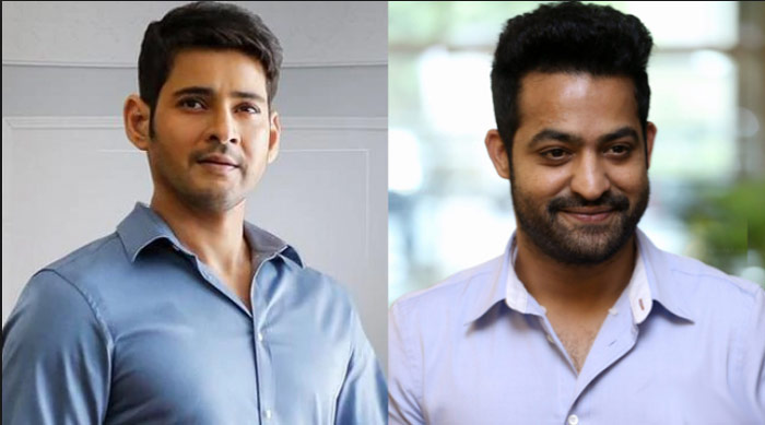 Anti Fans Getting a Jolt from Mahesh and NTR