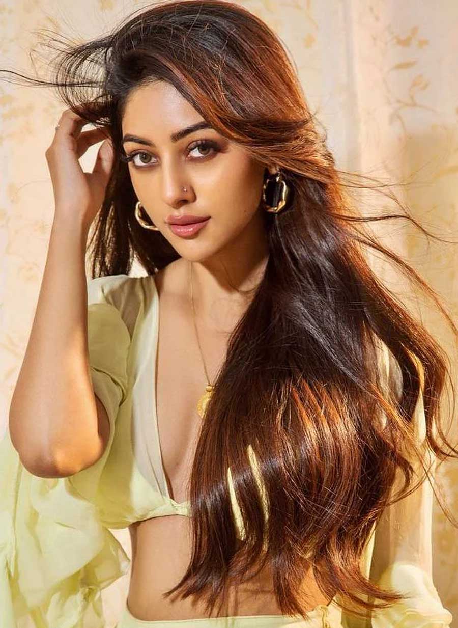 Anu Emmanuel All Hopes on Urvasivo Rakshasivo Movie