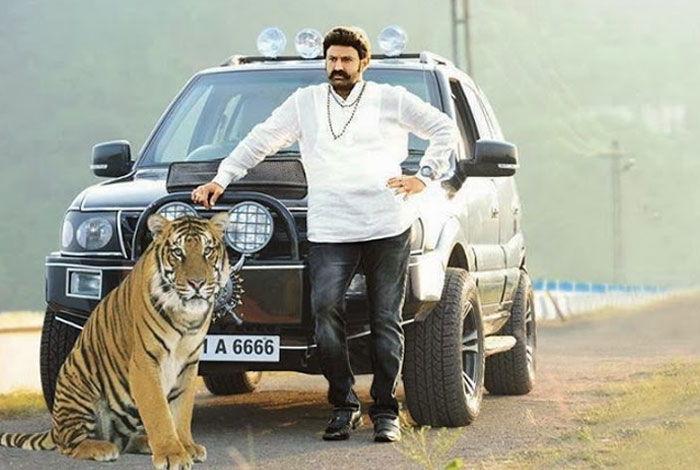 Balakrishna Compared to Tiger?