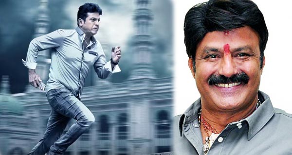 Balakrishna For Shiva Linga Telugu Remake