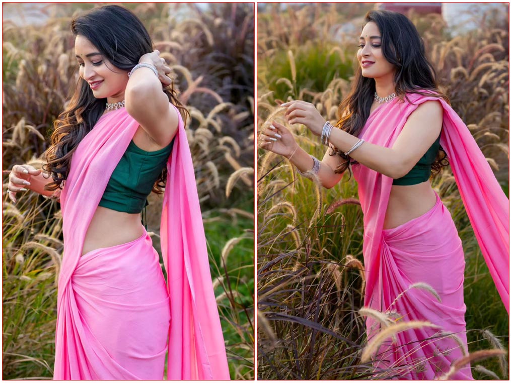 Bhanu Sri Spellbounds In A Pink Saree