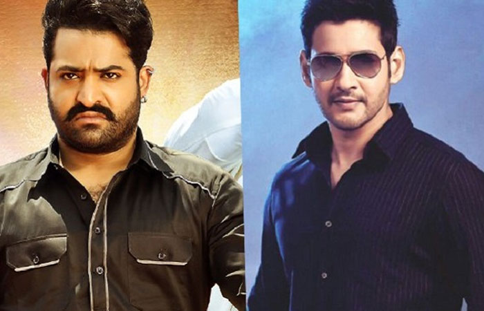 Bharat Ane Nenu Event to Witness Big Numbers of NTR Fans