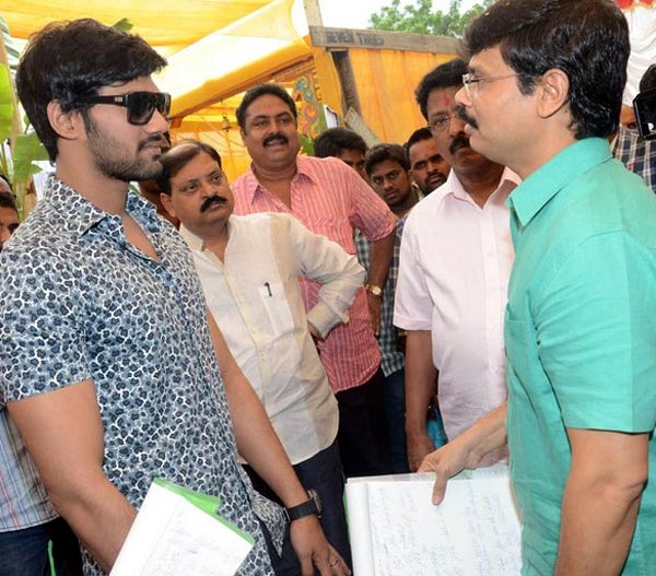 Boyapati Sreenu New Movie To gfo On Sets