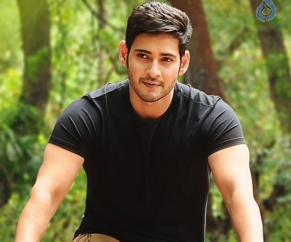 Can PM & CMs Spend Time for Srimanthudu?