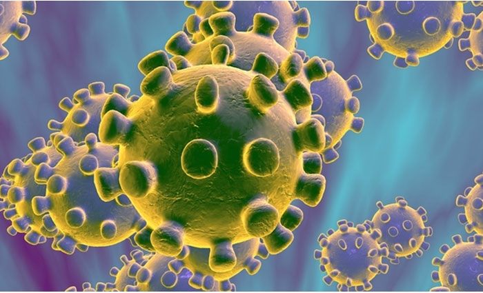 Coronavirus State Wise Cases List 