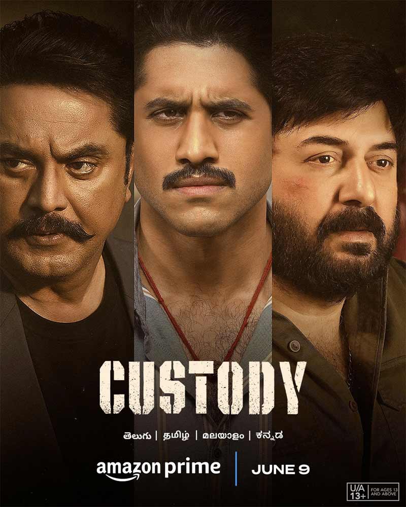 Custody  streaming on Amazon Prime