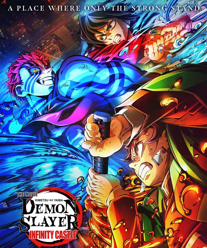Demon Slayer Record Breaking Collection