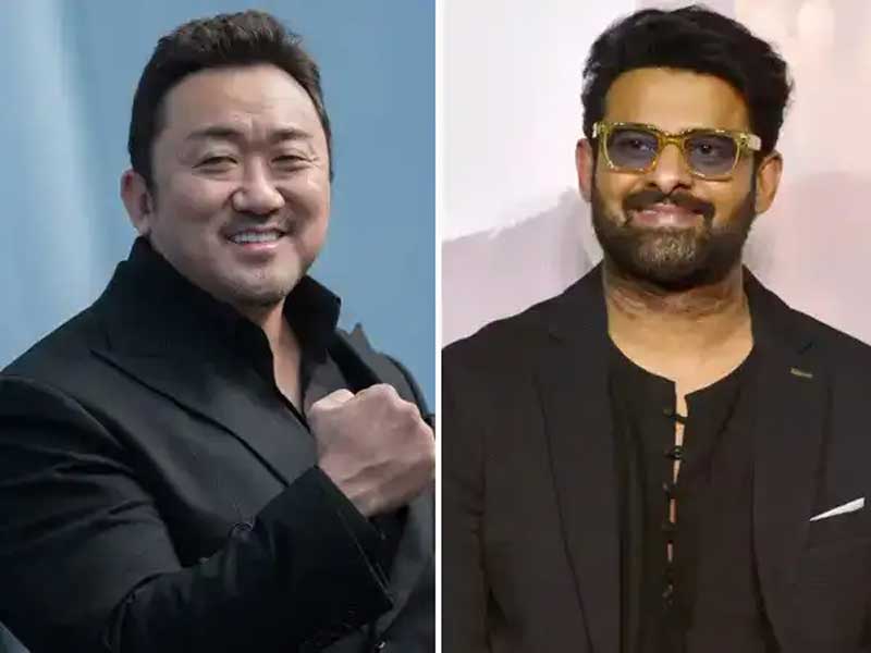 Don Lee enters Prabhas Spirit