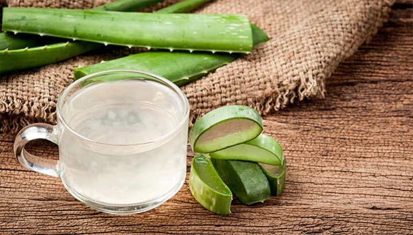 Drug Test Escape Through Aloe Vera Juice