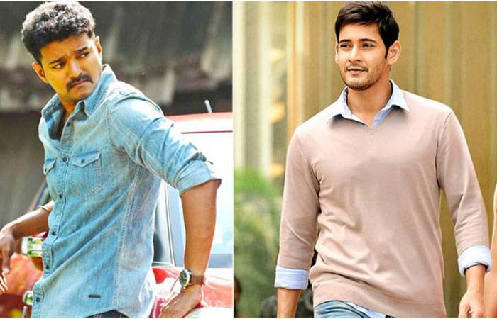 DummyStarMaheshBabu Vs RemakeStarVijay