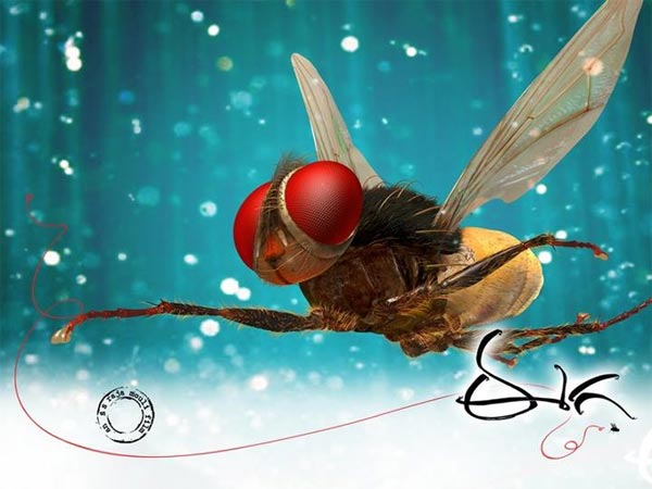 Eega Runs Home With 9 Nandis 