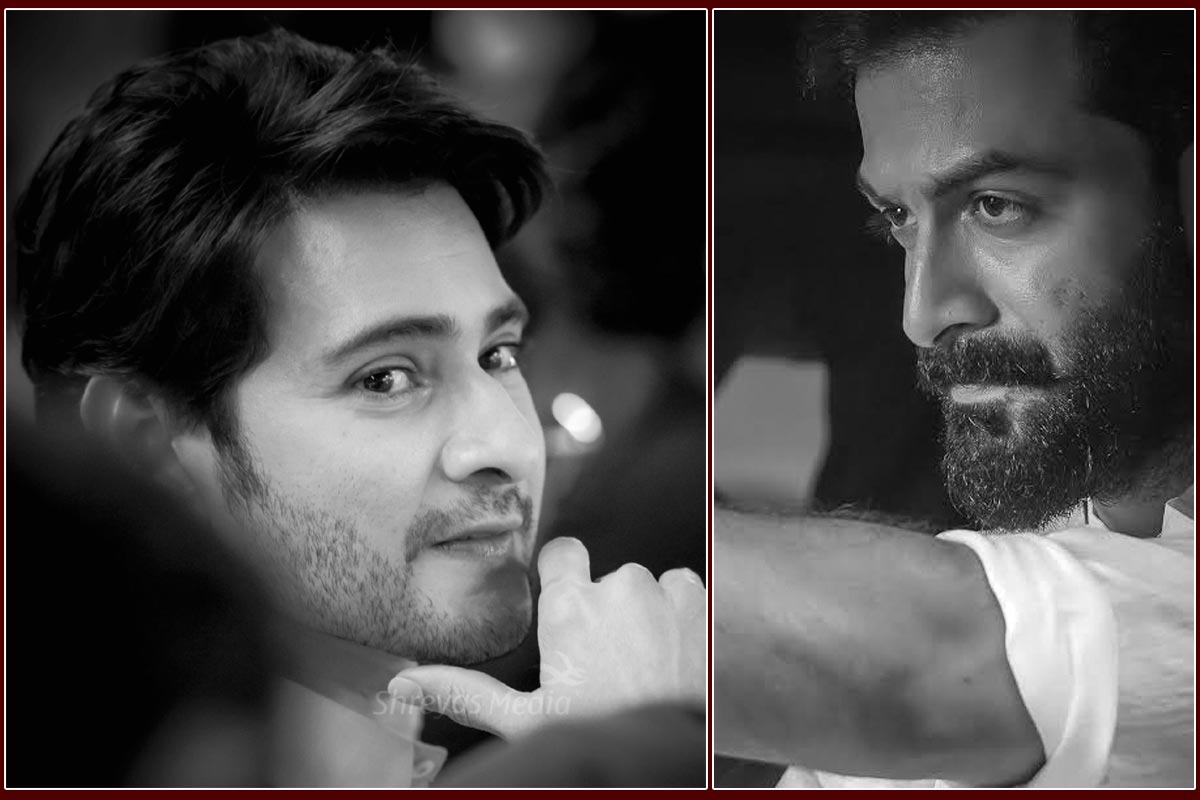 Gossip: Mahesh Babu to fight Prithviraj Sukumaran