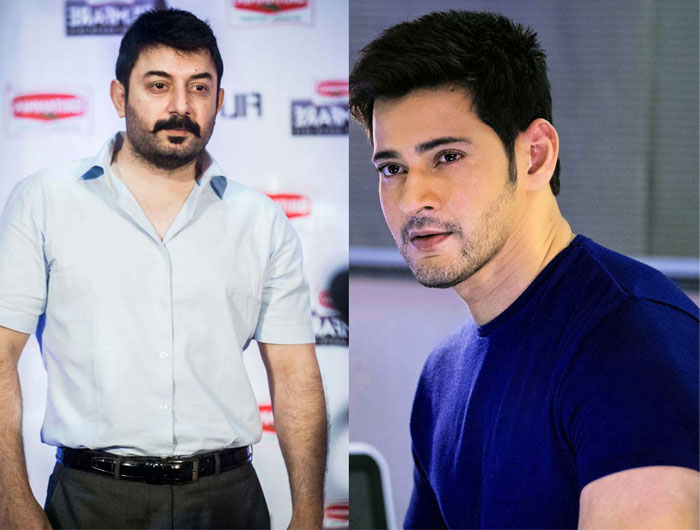 Handsome Mahesh Face off with Handsome Villain! 