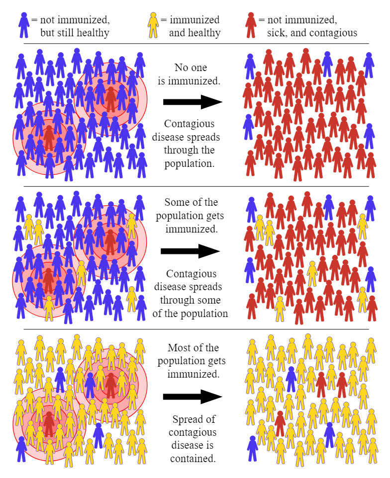 Herd Immunity Can Contain COVID 19?
