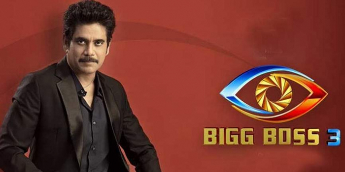 How Will Bigg Boss 3 Controversies Help The Show?