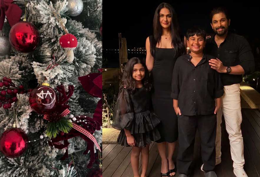 Icon Star wife personalised tree captivates